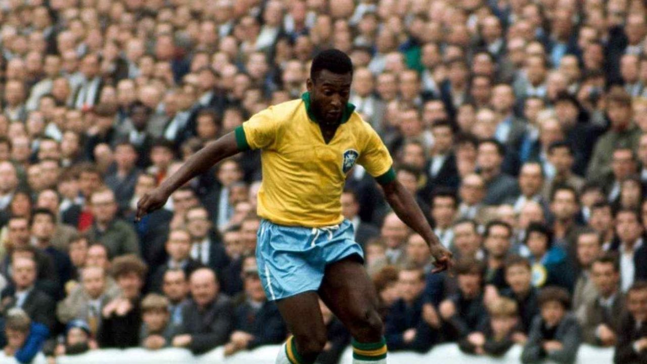 Pele (3)1672300911.jpg